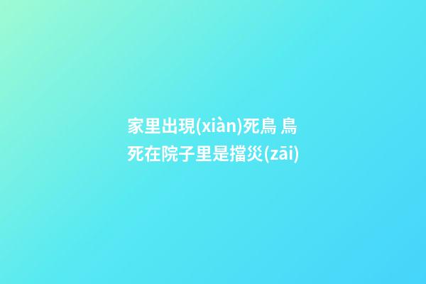 家里出現(xiàn)死鳥 鳥死在院子里是擋災(zāi)